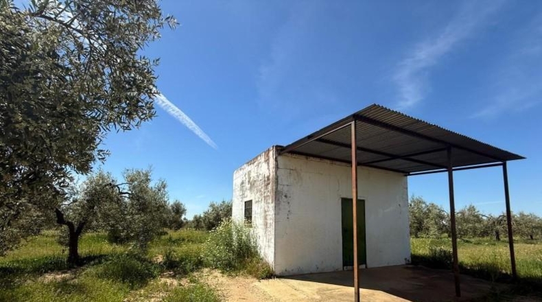 Sevilla - Aznalcázar - 36m2