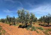 Terreno no urbanizable en venta en la España, Aznalcázar, ref: TR404149 foto