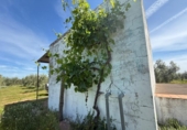 Terreno no urbanizable en venta en la España, Aznalcázar, ref: TR404149 foto