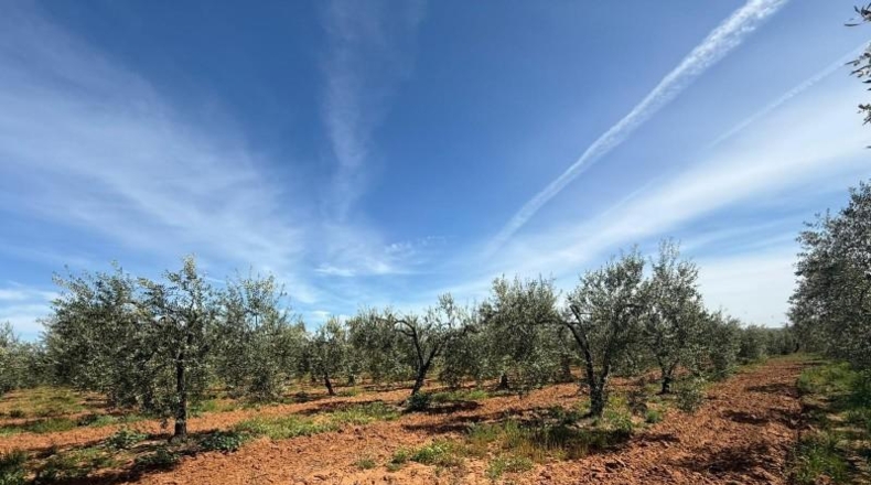 Sevilla - Aznalcázar - 36m2