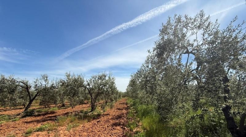 Sevilla - Aznalcázar - 36m2