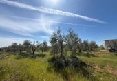 Terreno no urbanizable en venta en la España, Aznalcázar, ref: TR404149 foto