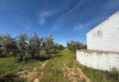 Terreno no urbanizable en venta en la España, Aznalcázar, ref: TR404149 foto