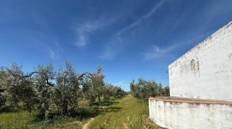 Sevilla - Aznalcázar - 36m2