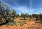 Terreno no urbanizable en venta en la España, Aznalcázar, ref: TR404149 foto