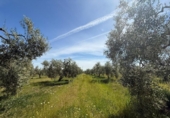 Terreno no urbanizable en venta en la España, Aznalcázar, ref: TR404149 foto