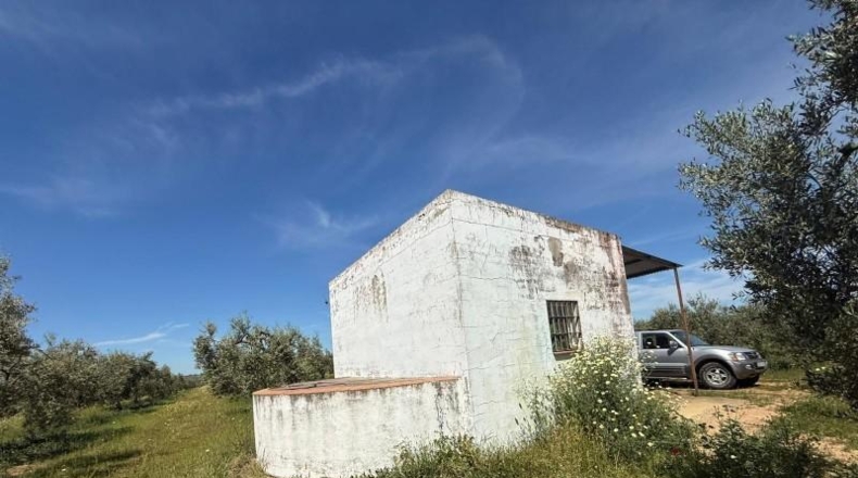 Sevilla - Aznalcázar - 36m2