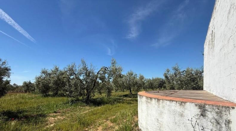 Sevilla - Aznalcázar - 36m2