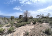 Terreno no urbanizable en venta en la España, Yecla, ref: TR404163 foto