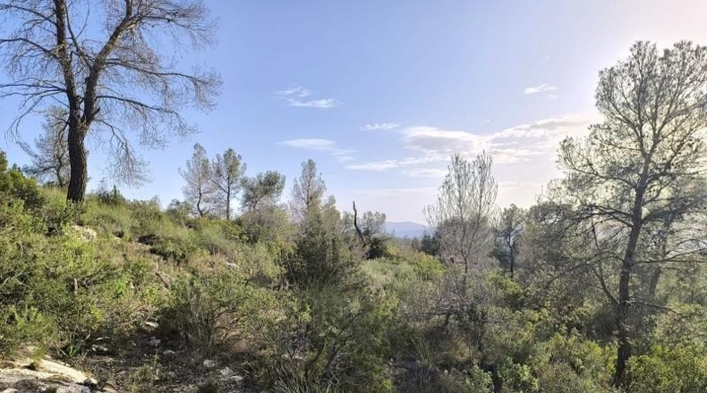 Murcia - Yecla - 510000m2