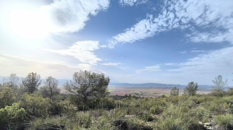 Murcia - Yecla - 510000m2