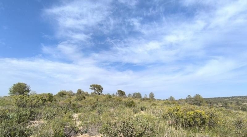 Murcia - Yecla - 510000m2