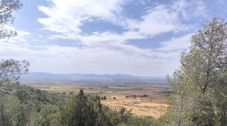 Murcia - Yecla - 510000m2