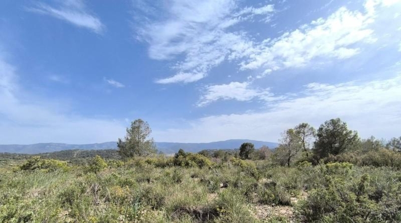 Murcia - Yecla - 510000m2