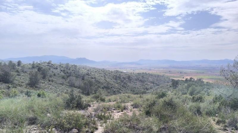 Murcia - Yecla - 510000m2