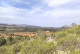 Foto 12