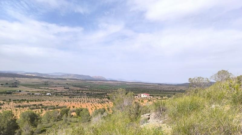 Murcia - Yecla - 510000m2
