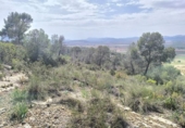 Terreno no urbanizable en venta en la España, Yecla, ref: TR404163 foto