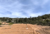 Terreno no urbanizable en venta en la España, Yecla, ref: TR404163 foto