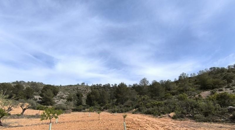Murcia - Yecla - 510000m2
