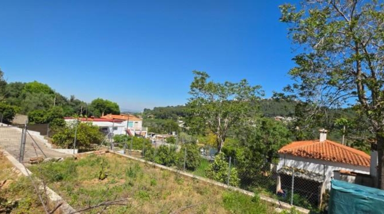 Valencia - Альсира - 5723m2