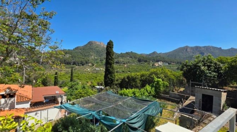 Valencia - Альсира - 5723m2