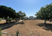 Xalet independent amb terreny en venda a la España, Chiclana de la Frontera, ref.: TR147745 foto
