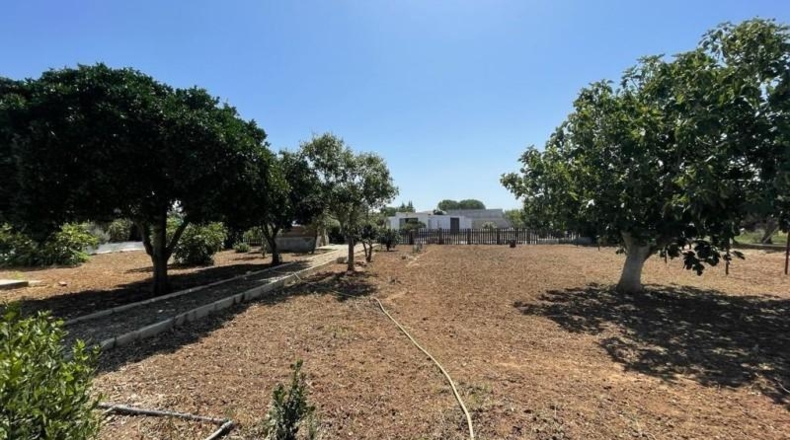 Cádiz - Chiclana de la Frontera - 2135m2