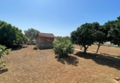 Xalet independent amb terreny en venda a la España, Chiclana de la Frontera, ref.: TR147745 foto