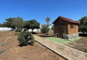 Xalet independent amb terreny en venda a la España, Chiclana de la Frontera, ref.: TR147745 foto
