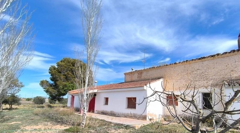 Murcia - Yecla - 20600m2