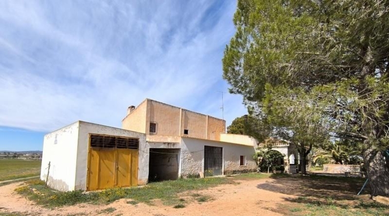 Murcia - Yecla - 20600m2