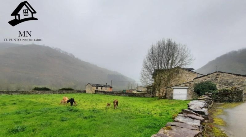 Cantabria - Vega de Pas - 3425m2