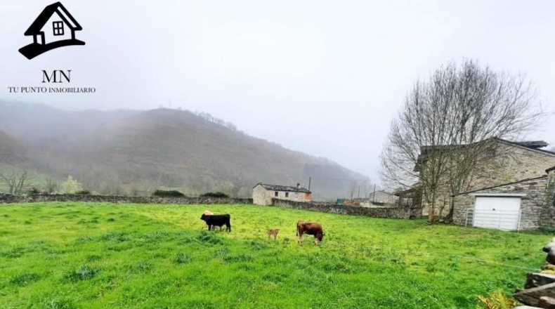 Cantabria - Vega de Pas - 3425m2