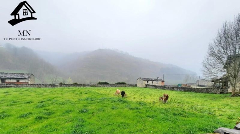 Cantabria - Vega de Pas - 3425m2