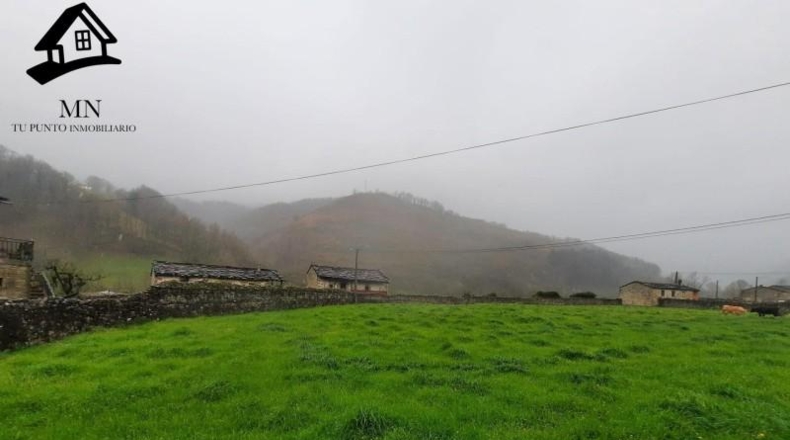 Cantabria - Vega de Pas - 3425m2