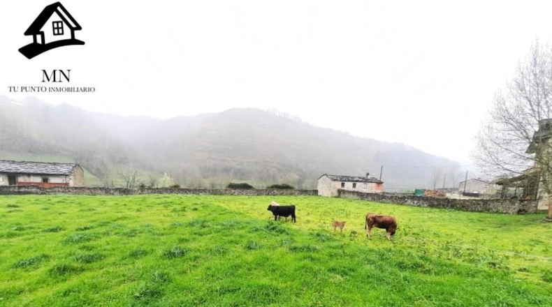 Cantabria - Vega de Pas - 3425m2