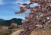 Xalet independent amb terreny en venda a la España, Vélez-Rubio, ref.: TR327296 foto