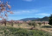 Xalet independent amb terreny en venda a la España, Vélez-Rubio, ref.: TR327296 foto