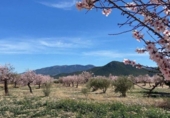 Xalet independent amb terreny en venda a la España, Vélez-Rubio, ref.: TR327296 foto