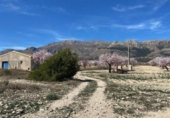 Xalet independent amb terreny en venda a la España, Vélez-Rubio, ref.: TR327296 foto