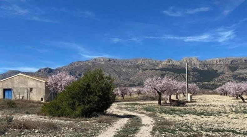 Almeria - Vélez-Rubio - 620m2