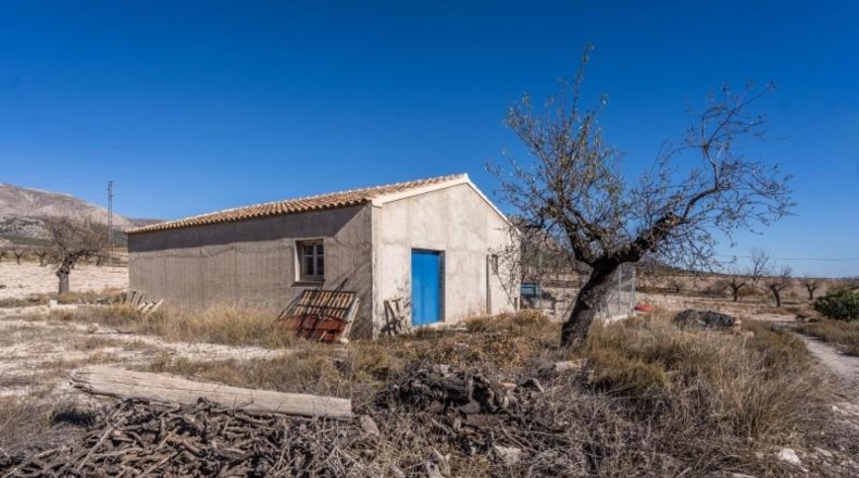Almeria - Vélez-Rubio - 620m2