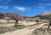 Xalet independent amb terreny en venda a la España, Vélez-Rubio, ref.: TR327296 foto