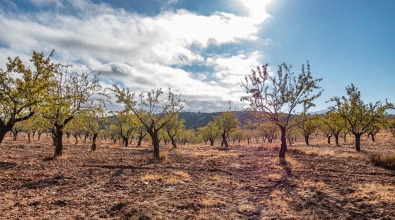 Granada - Graena - 130m2