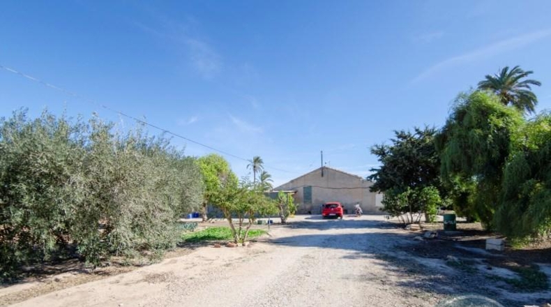 Alicante - Elche - 42521m2