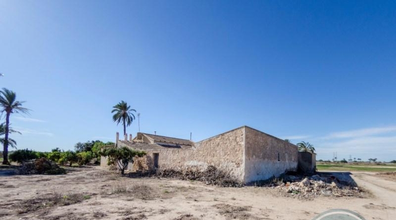 Alicante - Elche - 42521m2