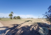 Casa de camp amb terreny en venda a la España, Elx, ref.: TR166937 foto