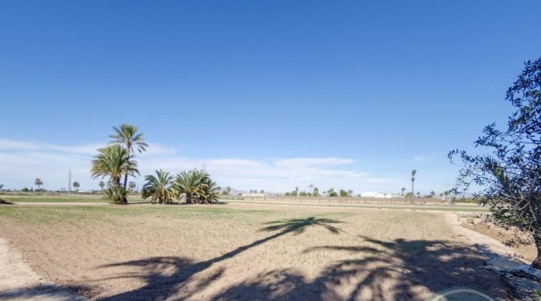 Alicante - Elche - 42521m2