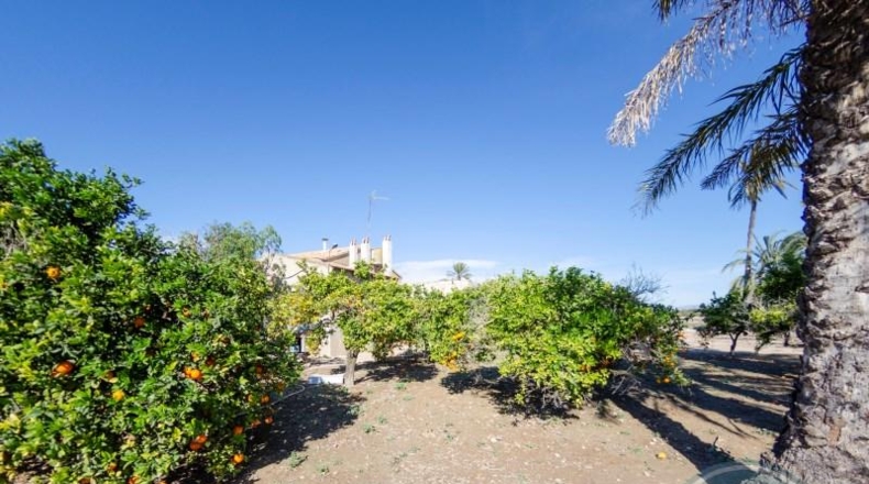 Alicante - Elche - 42521m2